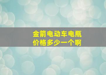 金箭电动车电瓶价格多少一个啊