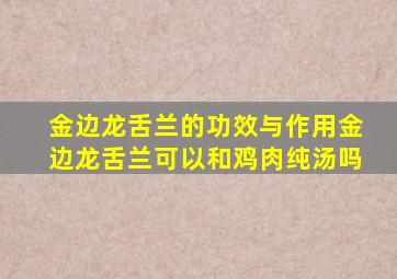 金边龙舌兰的功效与作用金边龙舌兰可以和鸡肉纯汤吗