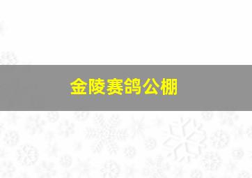 金陵赛鸽公棚