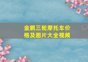 金鹏三轮摩托车价格及图片大全视频