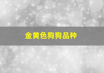 金黄色狗狗品种