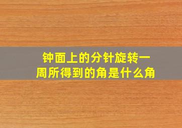 钟面上的分针旋转一周所得到的角是什么角