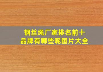 钢丝绳厂家排名前十品牌有哪些呢图片大全