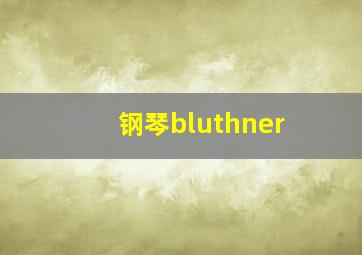 钢琴bluthner