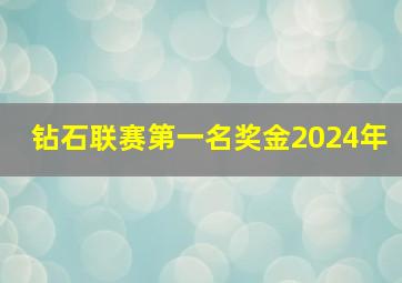 钻石联赛第一名奖金2024年