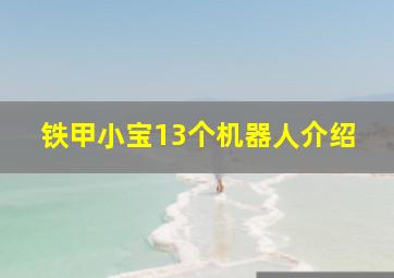 铁甲小宝13个机器人介绍