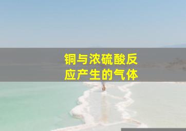 铜与浓硫酸反应产生的气体