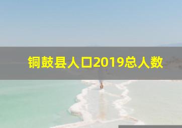 铜鼓县人口2019总人数