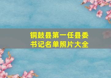 铜鼓县第一任县委书记名单照片大全