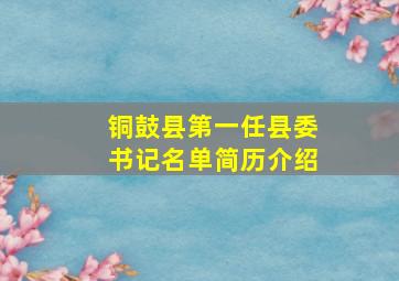 铜鼓县第一任县委书记名单简历介绍