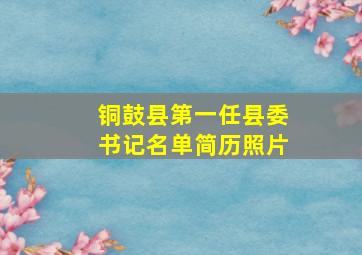 铜鼓县第一任县委书记名单简历照片