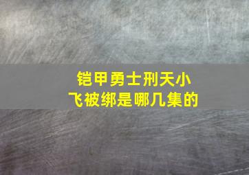 铠甲勇士刑天小飞被绑是哪几集的