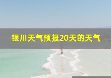 银川天气预报20天的天气