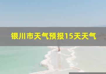 银川市天气预报15天天气