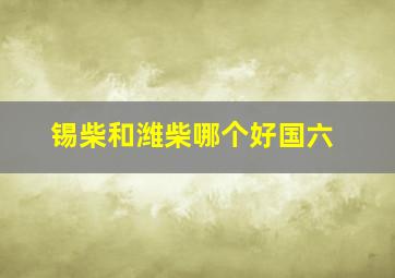 锡柴和潍柴哪个好国六