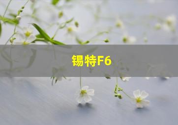 锡特F6