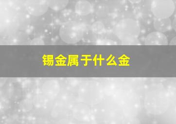 锡金属于什么金