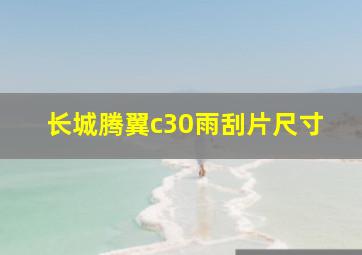 长城腾翼c30雨刮片尺寸