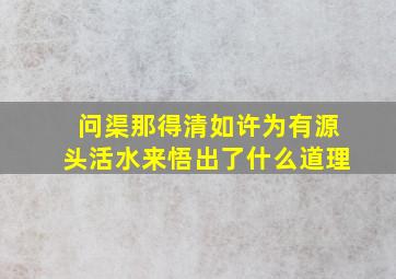 问渠那得清如许为有源头活水来悟出了什么道理