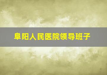 阜阳人民医院领导班子