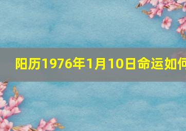 阳历1976年1月10日命运如何