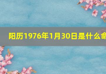 阳历1976年1月30日是什么命