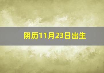 阴历11月23日出生