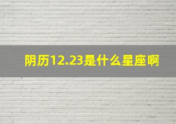 阴历12.23是什么星座啊