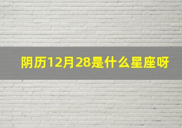 阴历12月28是什么星座呀