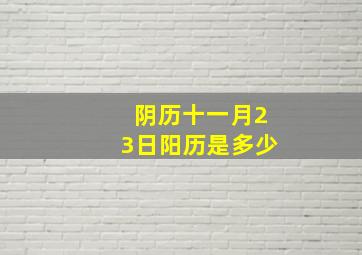 阴历十一月23日阳历是多少