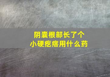 阴囊根部长了个小硬疙瘩用什么药