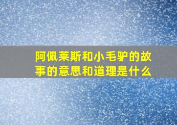 阿佩莱斯和小毛驴的故事的意思和道理是什么