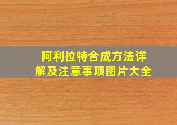 阿利拉特合成方法详解及注意事项图片大全