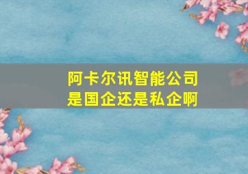 阿卡尔讯智能公司是国企还是私企啊