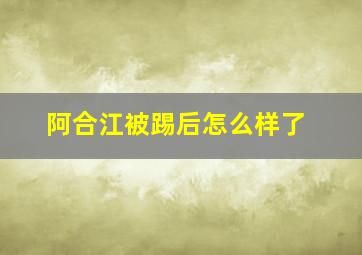 阿合江被踢后怎么样了