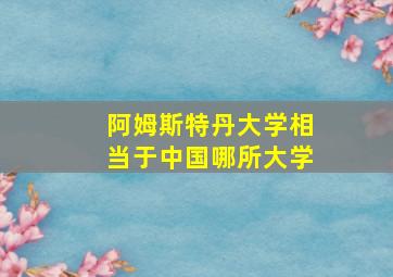 阿姆斯特丹大学相当于中国哪所大学