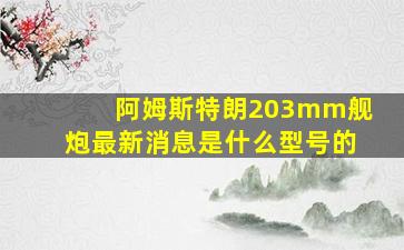 阿姆斯特朗203mm舰炮最新消息是什么型号的