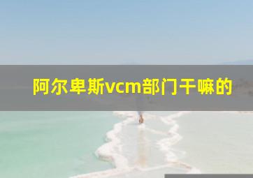 阿尔卑斯vcm部门干嘛的