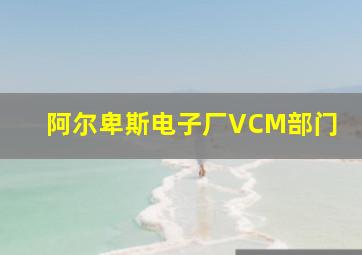 阿尔卑斯电子厂VCM部门