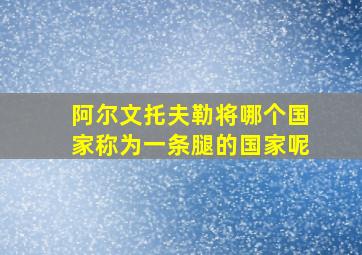 阿尔文托夫勒将哪个国家称为一条腿的国家呢