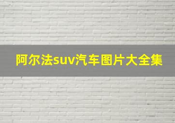 阿尔法suv汽车图片大全集