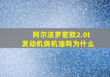 阿尔法罗密欧2.0t发动机烧机油吗为什么