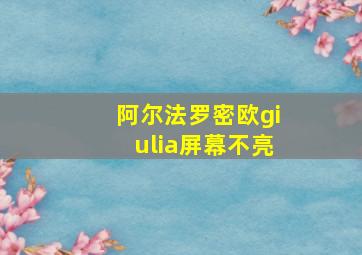 阿尔法罗密欧giulia屏幕不亮