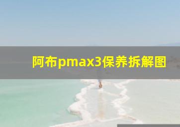 阿布pmax3保养拆解图