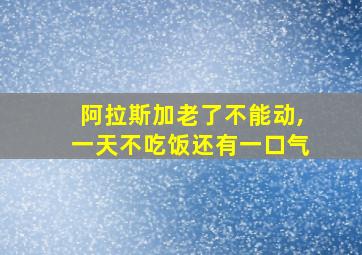 阿拉斯加老了不能动,一天不吃饭还有一口气