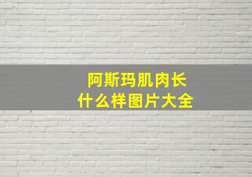 阿斯玛肌肉长什么样图片大全