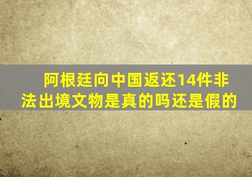 阿根廷向中国返还14件非法出境文物是真的吗还是假的