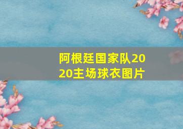 阿根廷国家队2020主场球衣图片