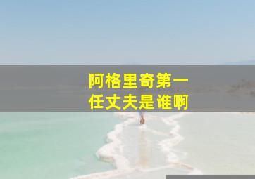 阿格里奇第一任丈夫是谁啊