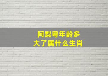 阿梨粤年龄多大了属什么生肖